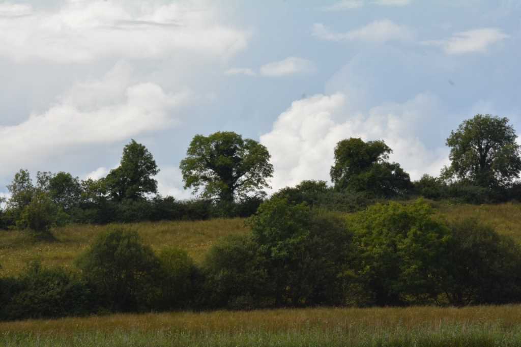 DSC_6170Mittel_.JPG